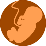 Foetus immune treatment